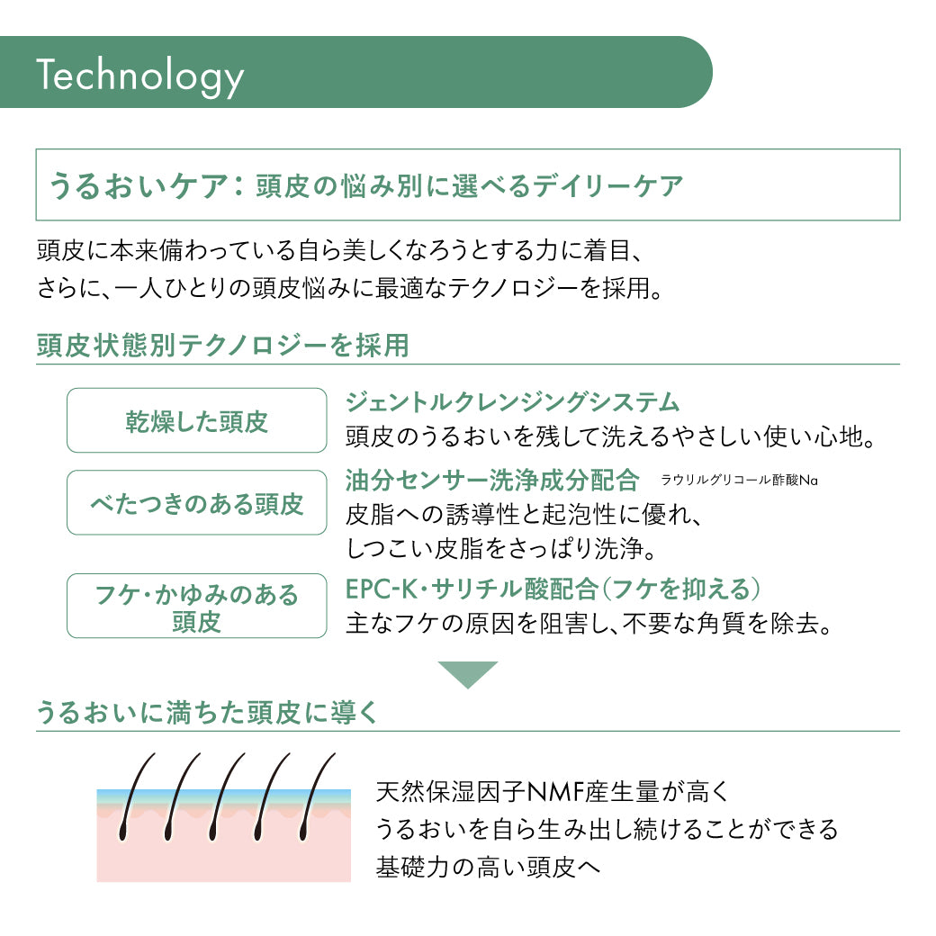 サブリミック フェンテフォルテ シャンプー(DD)h 250mL