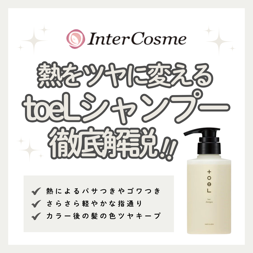 アイロン・ドライヤー熱をツヤに変える！トエル シャンプーの口コミと使い方