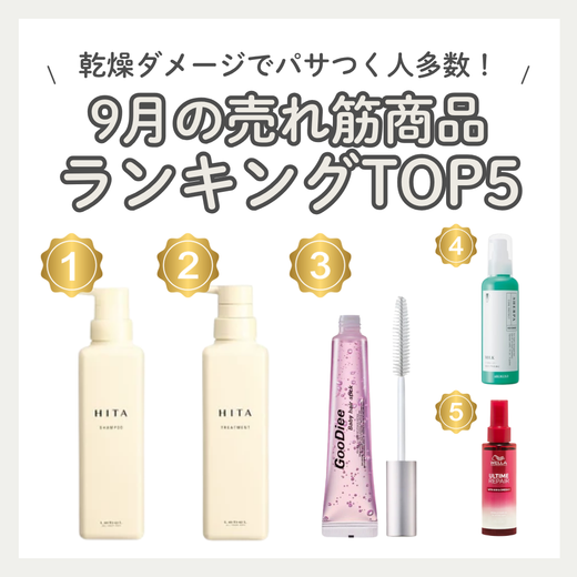 【2026年9月最新】SALOWIN ONLINE STORE売れ筋サロン専売ヘアケア人気ランキングTOP5