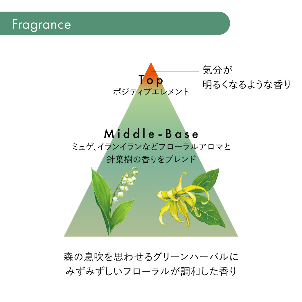 サブリミック フェンテフォルテ シャンプー（DD）h 250mL