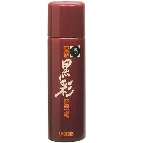 コクサイ 1200 171S