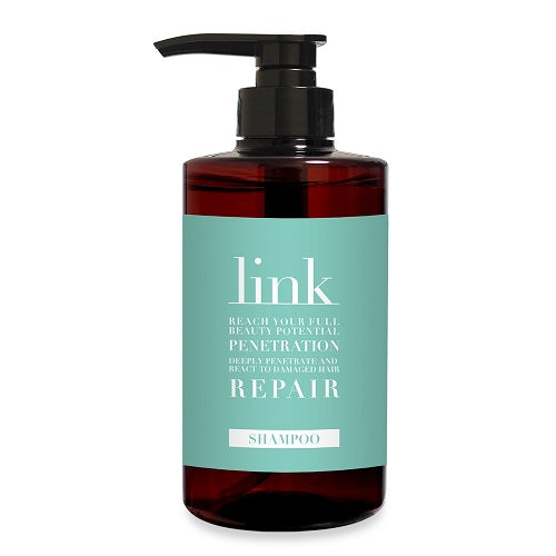 ｌｉｎｋ　シャンプー　５００ｍｌ
