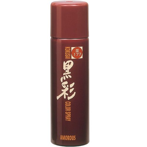 コクサイ 1200 177S