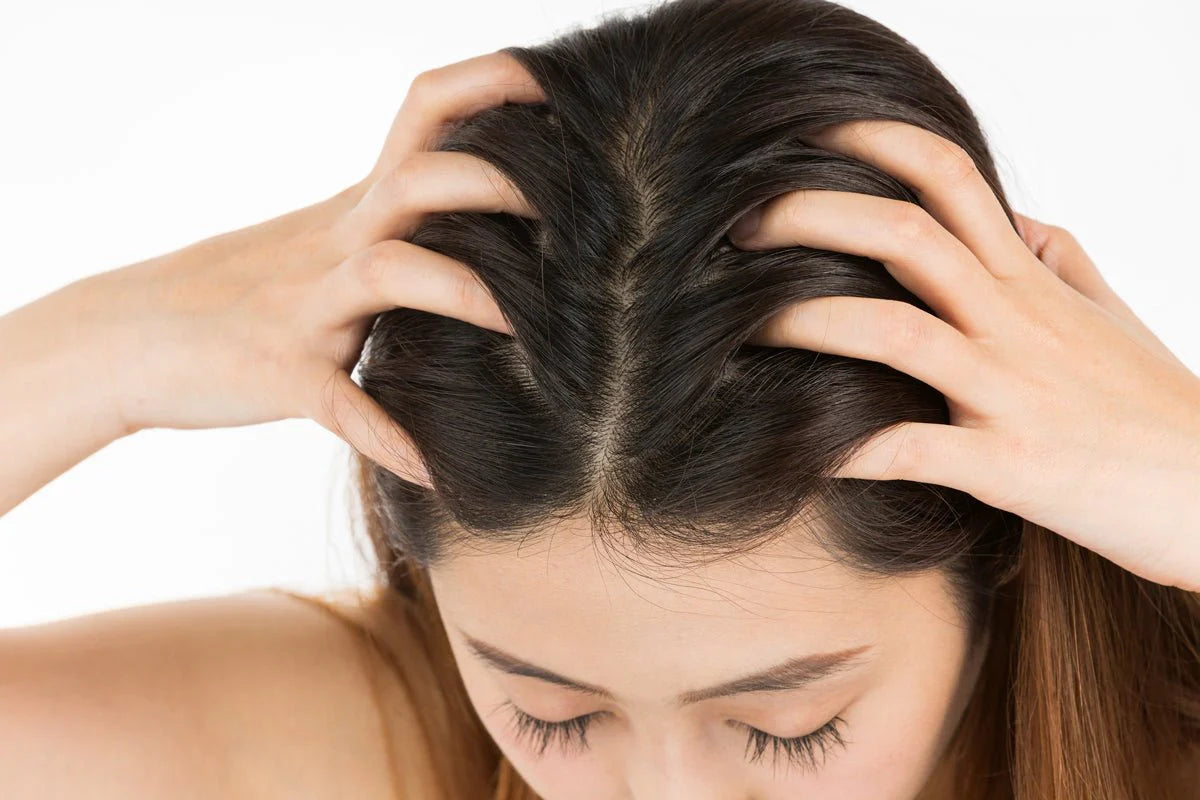 FIVE ELEMENTS / ファイブエレメンツ