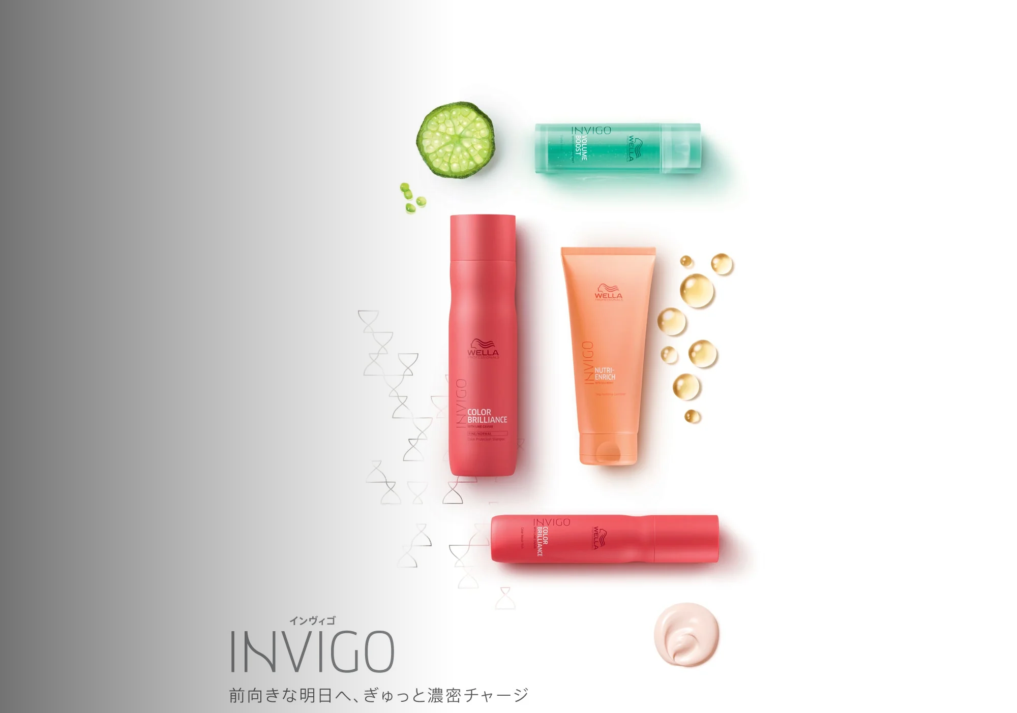 INVIGO