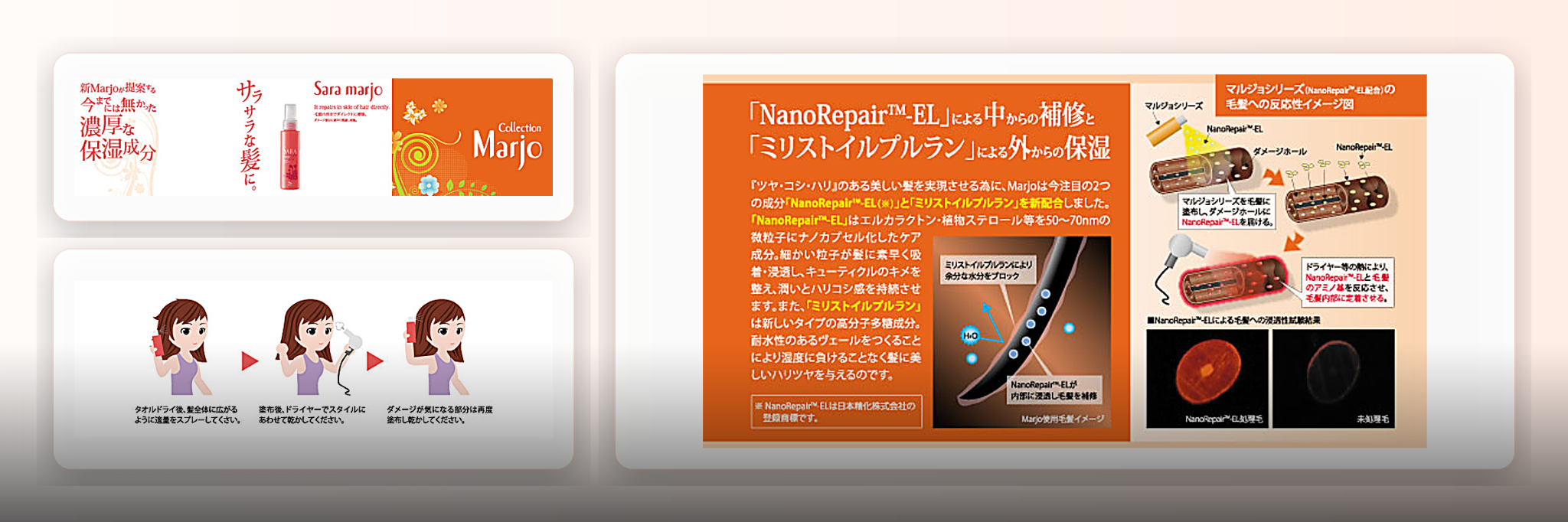 マルジョコレクション / マルジョコレクション